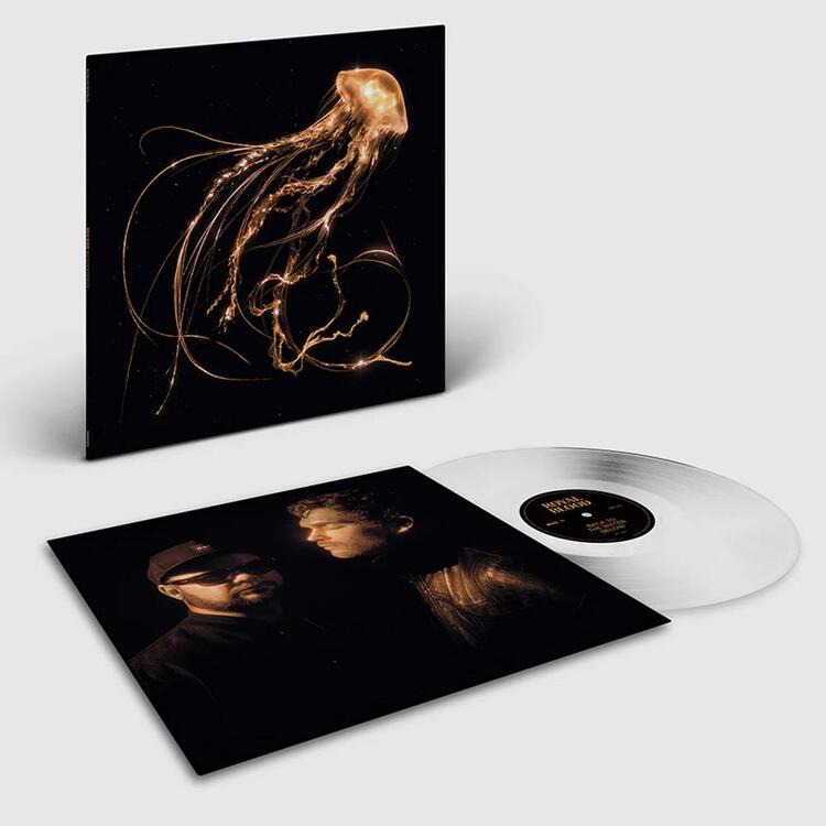 ROYAL BLOOD - Back To The Water Below (Clear Vinyl)