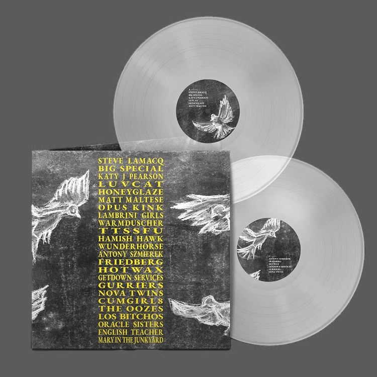 VARIOUS ARTISTS - A Hideous Collective (Limited Clear Vinyl)