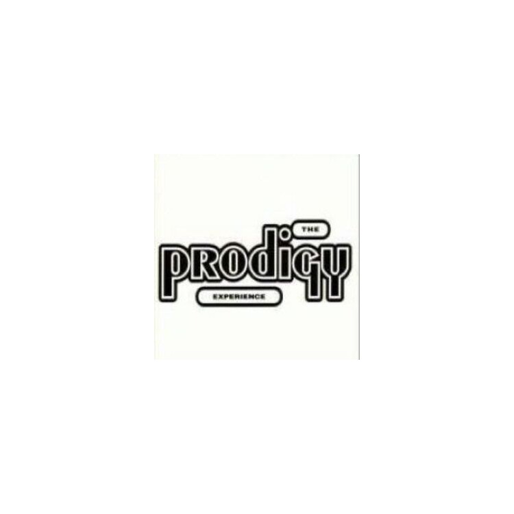 THE PRODIGY - Experience