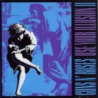 GUNS N ROSES - Use Your Illusion Ii (180g Vinyl)