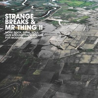 VARIOUS ARTISTS - Strange Breaks & Mr Thing Ii (Vinyl)
