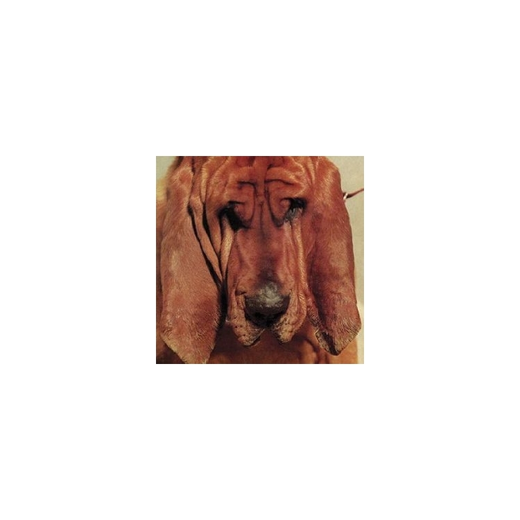 TY SEGALL - Goodbye Bread (Vinyl)