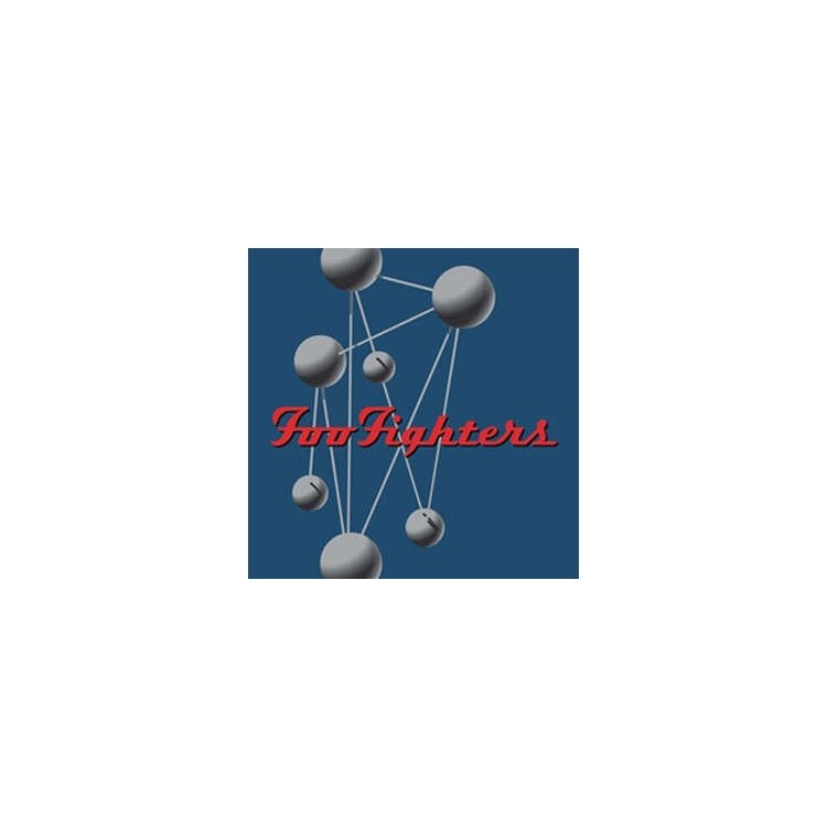 FOO FIGHTERS - Colour And The Shape, The (2lp)