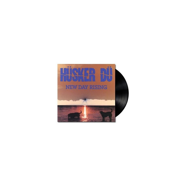 HUSKER DU - New Day Rising