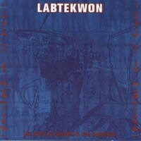 LABTEKWON - Hustlaz Guide To The ...
