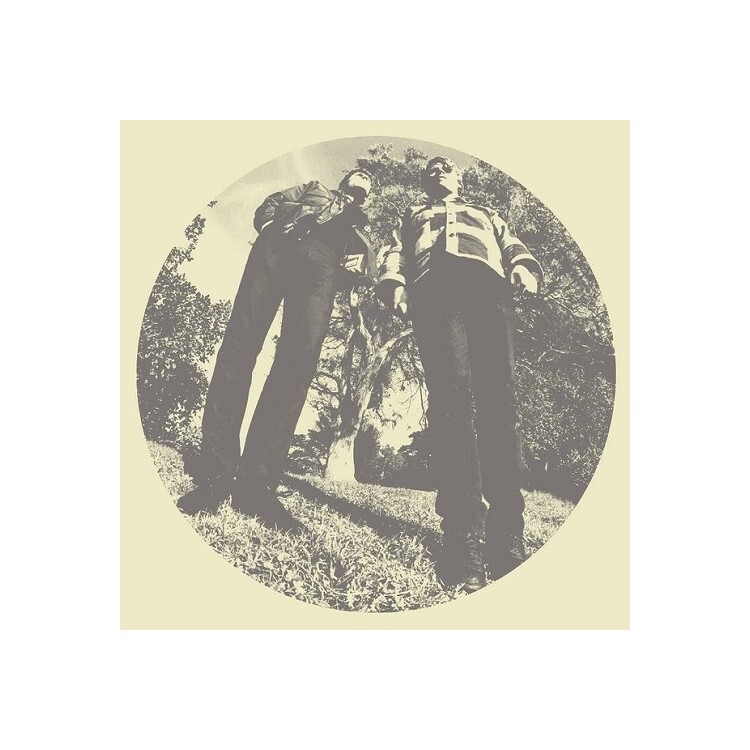 TY SEGALL - Hair (Vinyl)