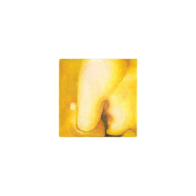 SMASHING PUMPKINS - Pisces Iscariot (2 Lp)