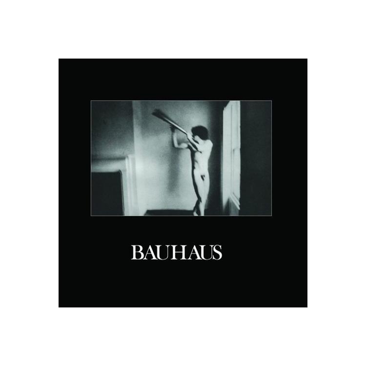 BAUHAUS - In The Flat Field