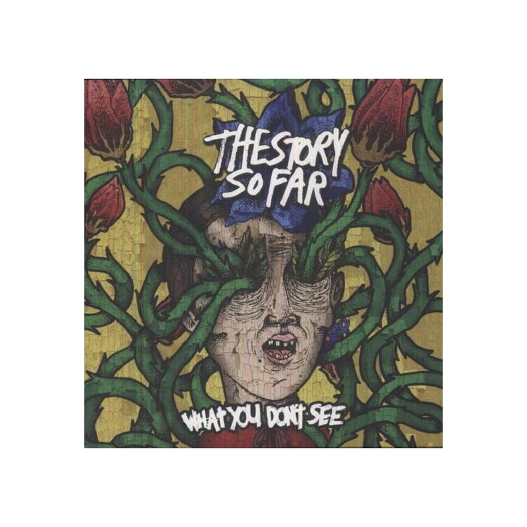 THE STORY SO FAR - What You Don't See