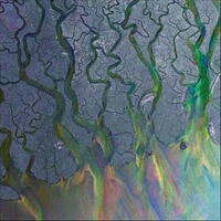 ALT-J - An Awesome Wave (Vinyl)