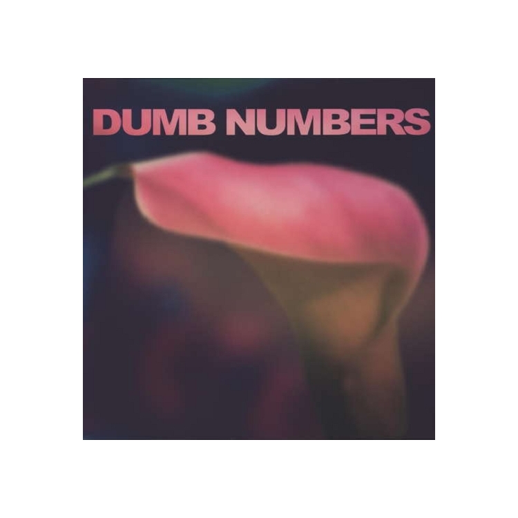 DUMB NUMBERS - Dumb Numbers