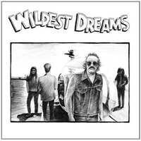 WILDEST DREAMS - Wildest Dreams