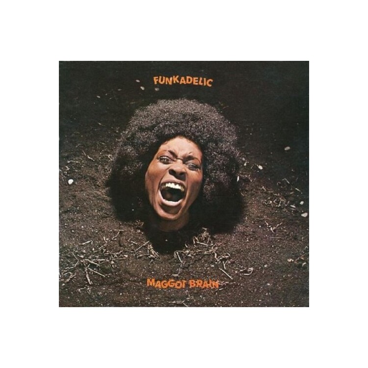 FUNKADELIC - Maggot Brain
