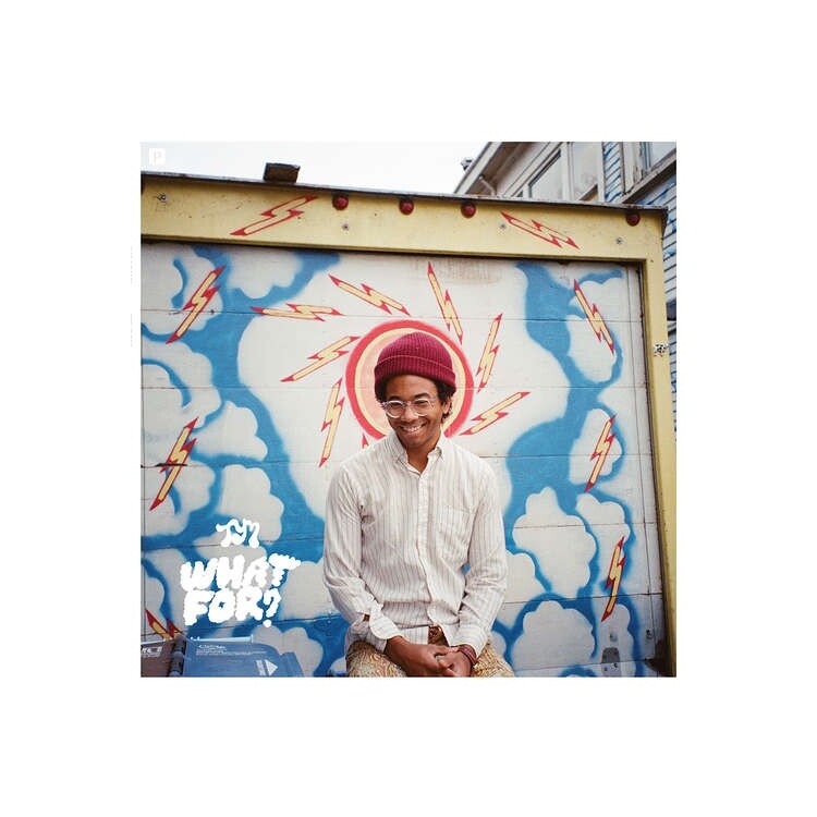 TORO Y MOI - What For (Dlcd)