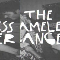 MODERN BASEBALL - Nameless Ranger