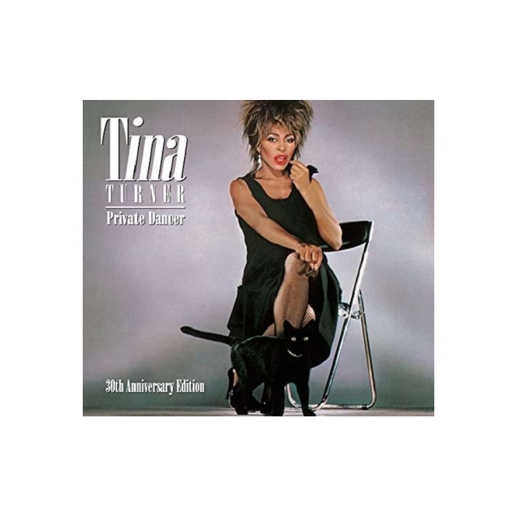 TINA TURNER - Private Dancer