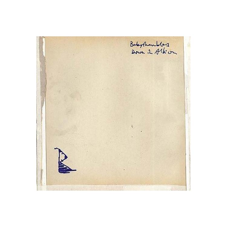 BABYSHAMBLES - Down In Albion