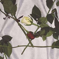 CHAIN OF FLOWERS - Chain Of Flowers