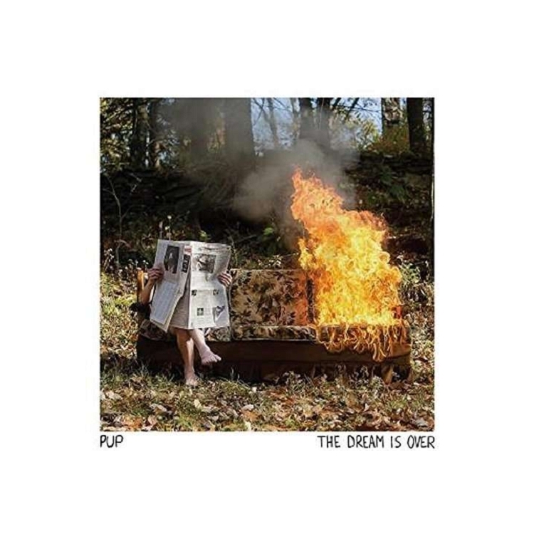 PUP - Dream Is Over (Gate)