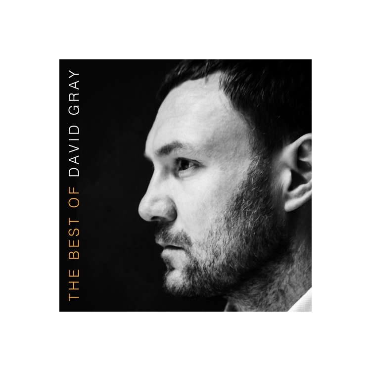 DAVID GRAY - The Best Of David Gray (Vinyl)