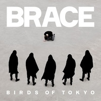 BIRDS OF TOKYO - Brace (Vinyl)