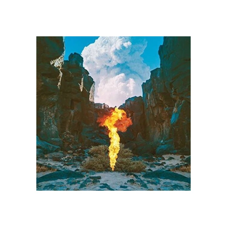 BONOBO - Migration