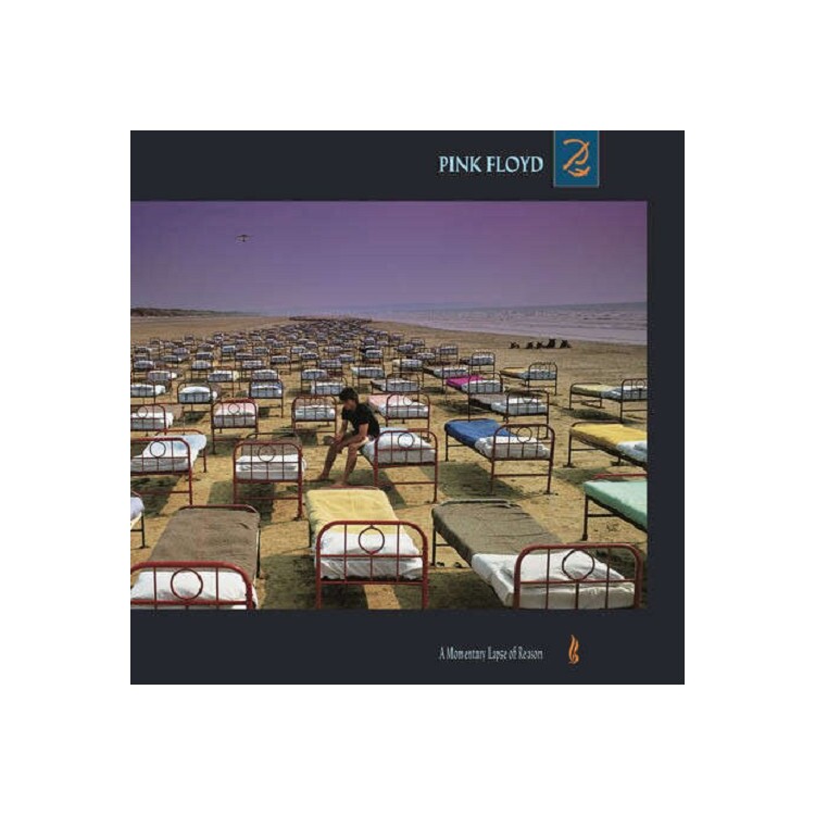 PINK FLOYD - A Momentary Lapse Of Reason