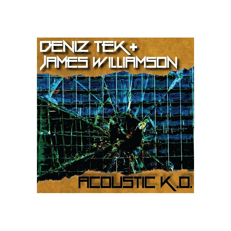 JAMES WILLIAMSON & DENIZ TEK - Acoustic K.O