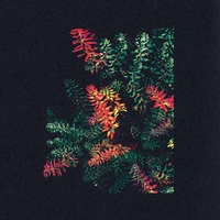 DARK SKY - Othona