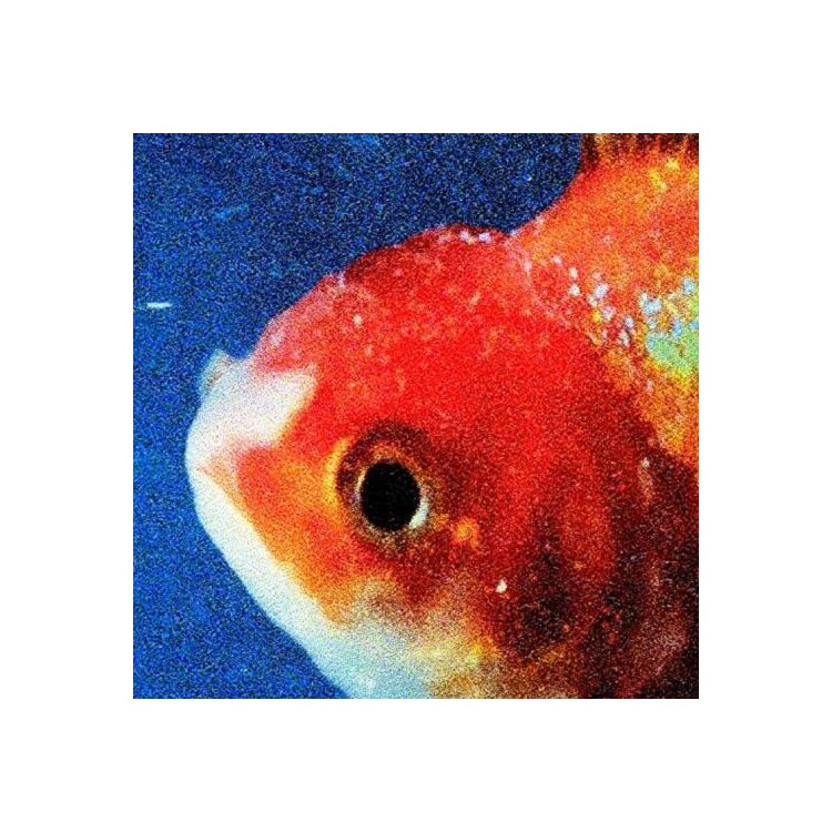 VINCE STAPLES - Big Fish Theory