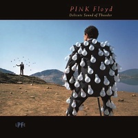 PINK FLOYD - Delicate Sound Of Thunder (Live)