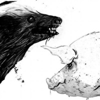 CLARK - Honey Badger/pig - Ltd