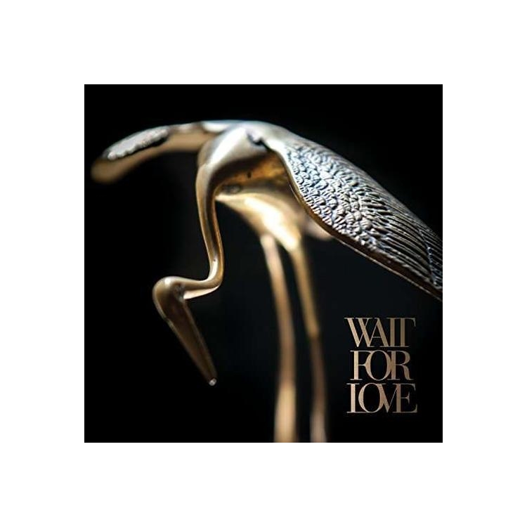 PIANOS BECOME THE TEETH - Wait For Love (Vinyl)