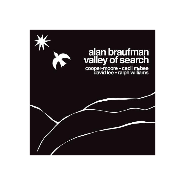ALAN BRAUFMAN - Valley Of Search (Lp)