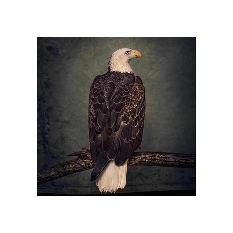 CLUTCH - Book Of Bad Decisions