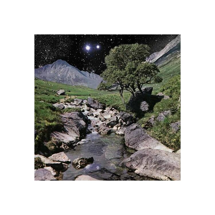 THE BETA BAND - Beta Band (Vinyl)