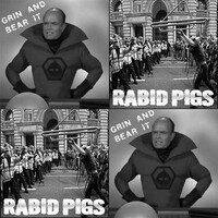 GRIN AND BEAR IT / RABID PIGS - Split