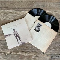 ANGUS AND JULIA STONE - Down The Way (180gm Vinyl) (Reissue)