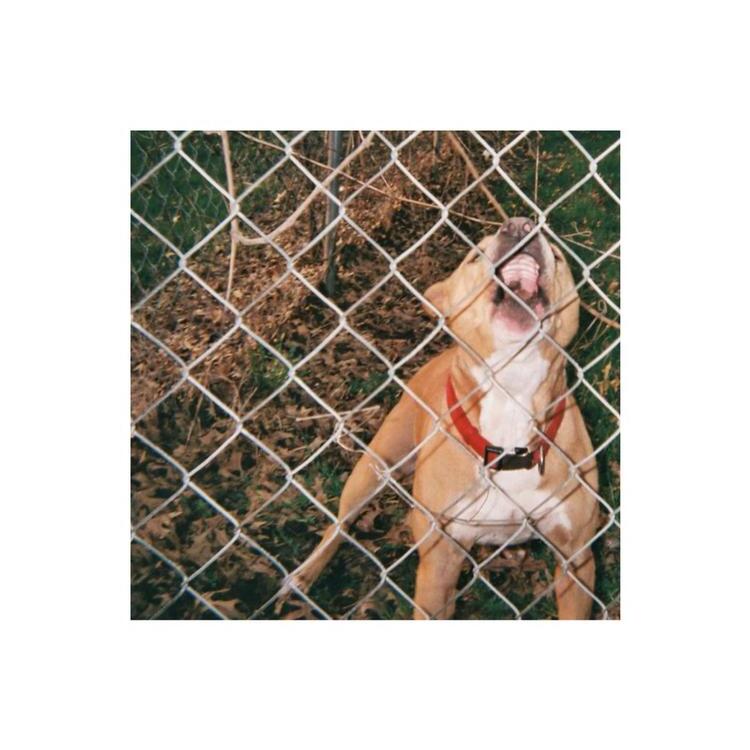 KNOCKED LOOSE - Pop Culture