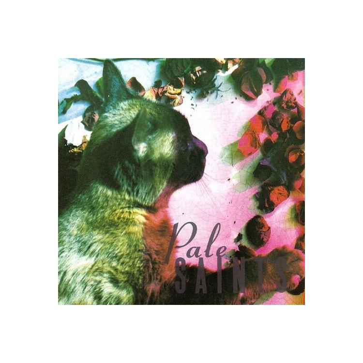 PALE SAINTS - The Comforts Of Madness