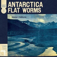 FLAT WORMS - Antarctica