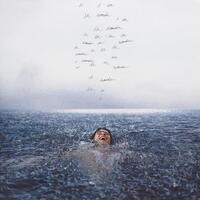 SHAWN MENDES - Wonder