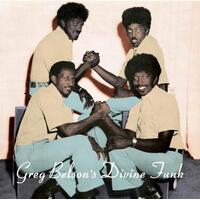 VARIOUS ARTISTS - Greg Belson's Divine Funk (Vinyl)