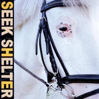 ICEAGE - Seek Shelter