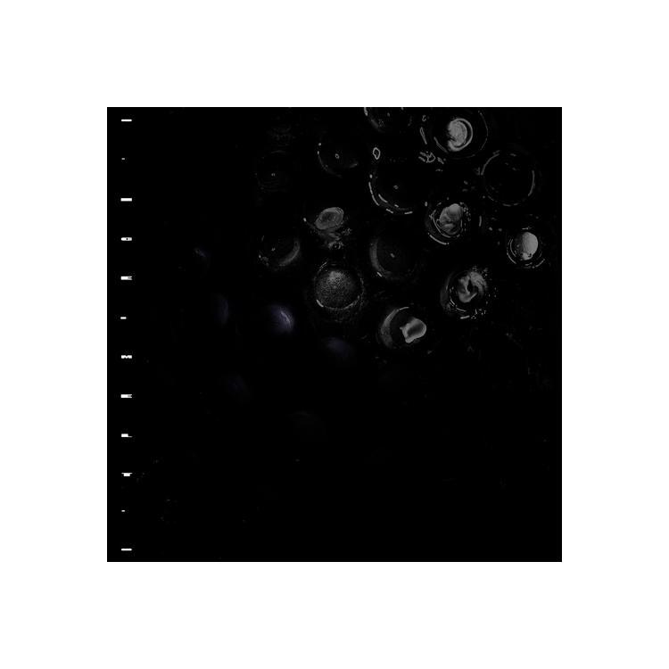 CRUMB - Ice Melt (Opaque Red Vinyl)