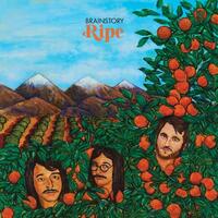 BRAINSTORY - Ripe (Translucent W/ Green & Orange Swirl)