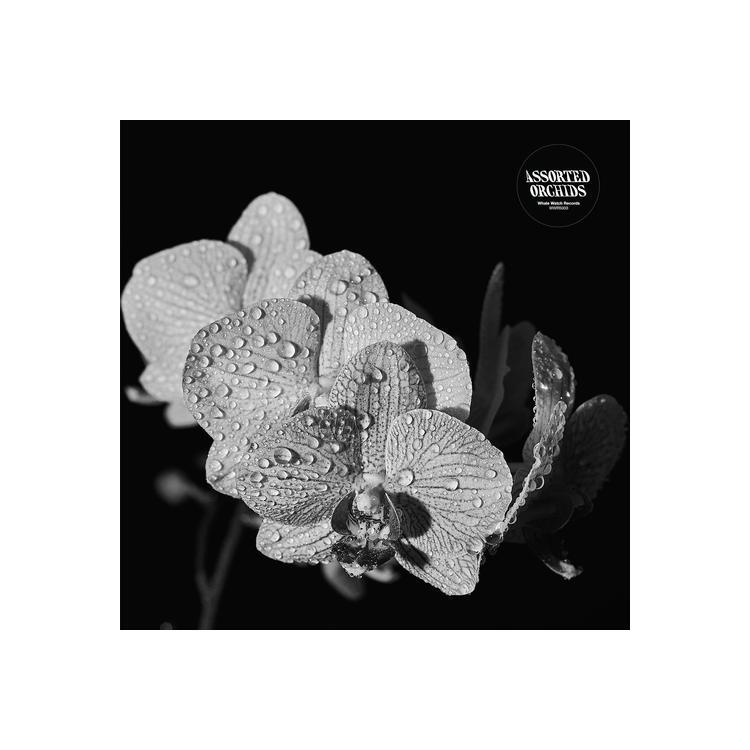ASSORTED ORCHIDS - Assorted Orchids (Ltd White Gatefold Vinyl)