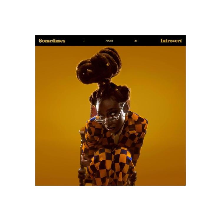 LITTLE SIMZ - Sometimes I Might Be Introvert