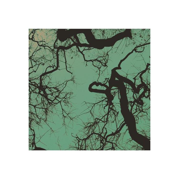 FOLLAKZOID - Follakzoid