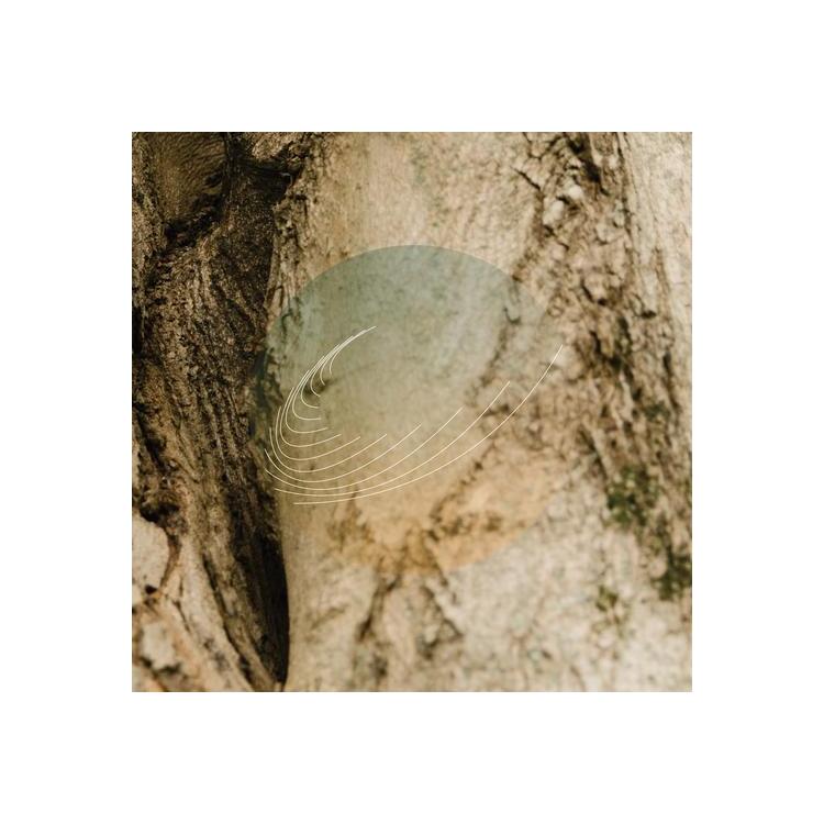 FIELD WORKS - Maples, Ash, And Oaks: Cedars Instrumentals (Iridescent Mother Of Pearl W/ Green Undertone)